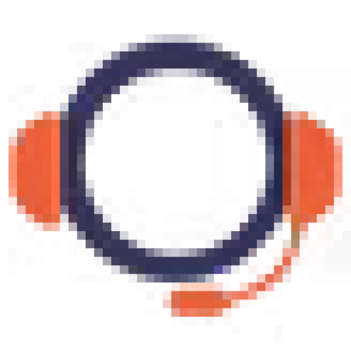 Buwelo an Exactstar Company logo