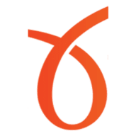 Connext Global Solutions logo