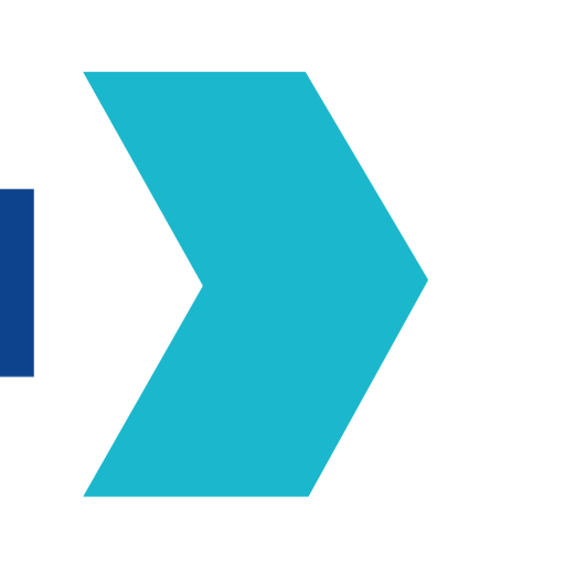 Dyn Edge Phils. Inc. logo