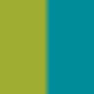 EuroAsia Executive Search Inc. logo