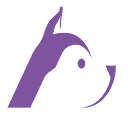 Huskee Digital | Top TikTok Agency Partner. logo