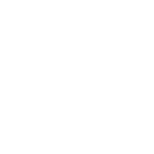 Open Look Business Solutions logo