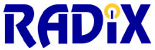 Radix Systems Services Corporation logo