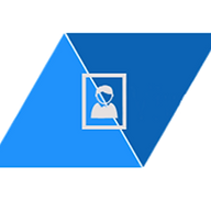VirtualProfessionals Co. logo