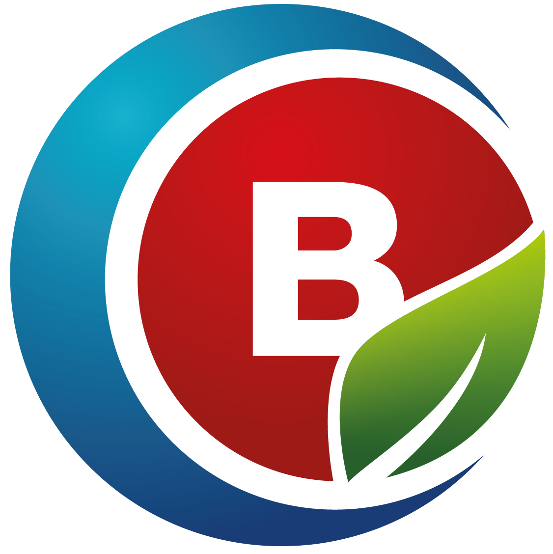 Bristol Healthcare logo
