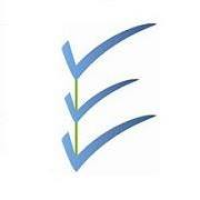 Easy Checks logo