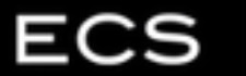 ECS Virtual logo